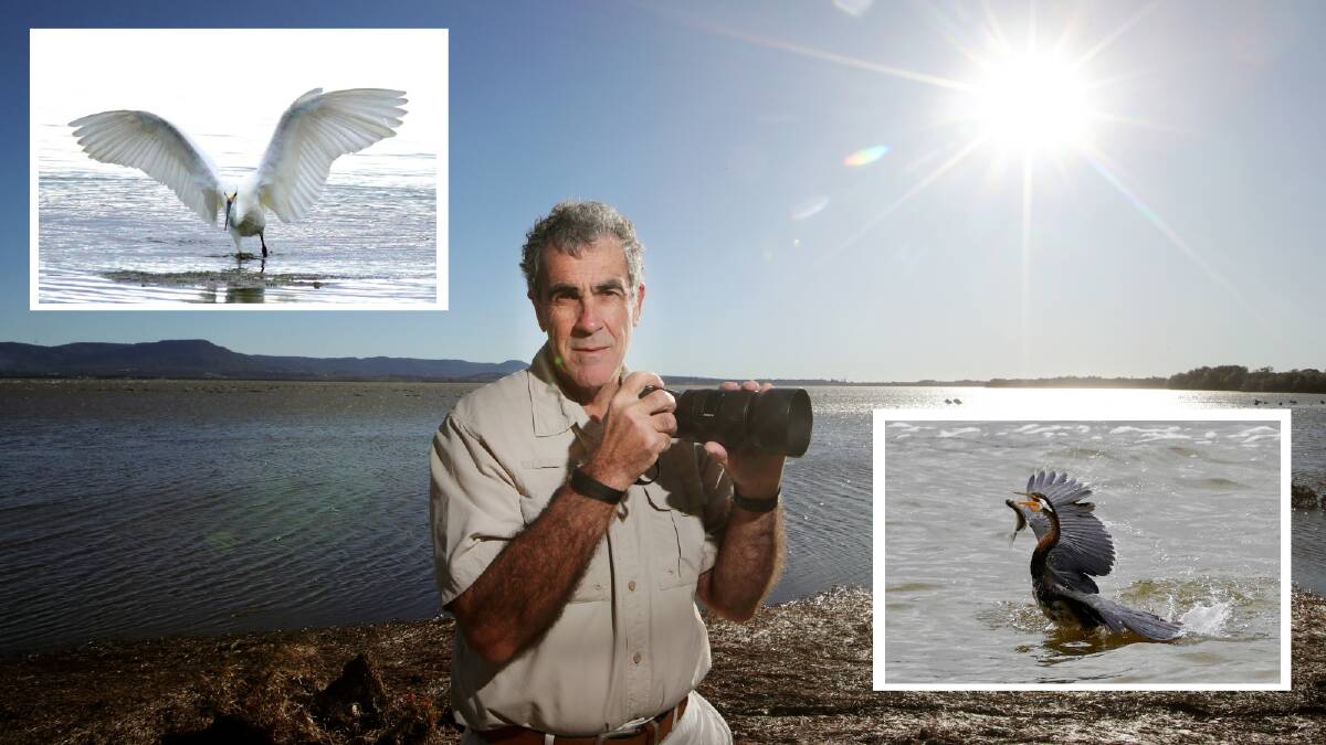 Keen photographer John Davey with (insets) photos he's taken of a great egret and Australasian darter. Picture (main) by Sylvia Liber
