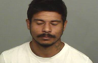 Keedan Daniels is wanted for alleged property damage and domestic violence offences. Picture by Lake Illawarra Police District