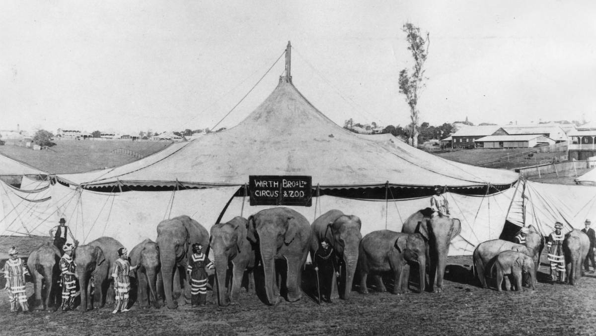 GALLERY: A circus elephant buried beneath an Albury bowling green ...