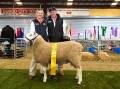 Kylie and Scott Anderson Talkook Border Leicesters, Lost River, with best Border Leicester sheep in show Talkook 40. Picture by Elka Devney