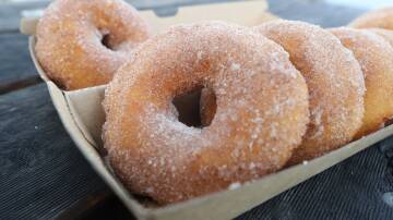 Warm cinnamon doughtnuts from Yachies, in Wollongong Harbour. Picture by Robert Peet